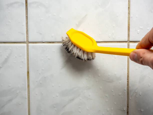 Mold Testing and Removal in North Tustin, CA