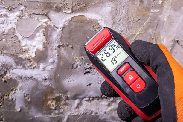 Best Mold Cleaning Services  in North Tustin, CA
