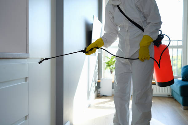 Best Mold Removal Near Me  in North Tustin, CA