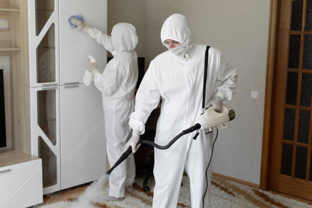 Best Mold Damage Repair  in North Tustin, CA