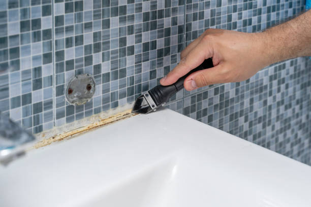 Office Mold Removal Services in North Tustin, CA