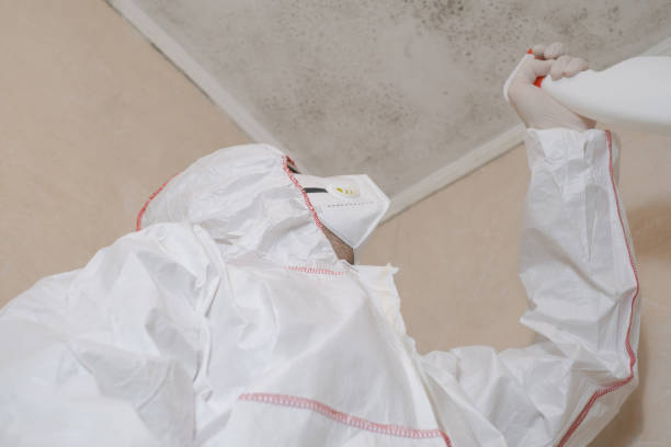 Best Fast Mold Removal  in North Tustin, CA