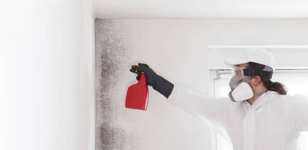 Best Residential Mold Removal  in North Tustin, CA