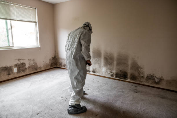  North Tustin, CA Mold Removal Pros